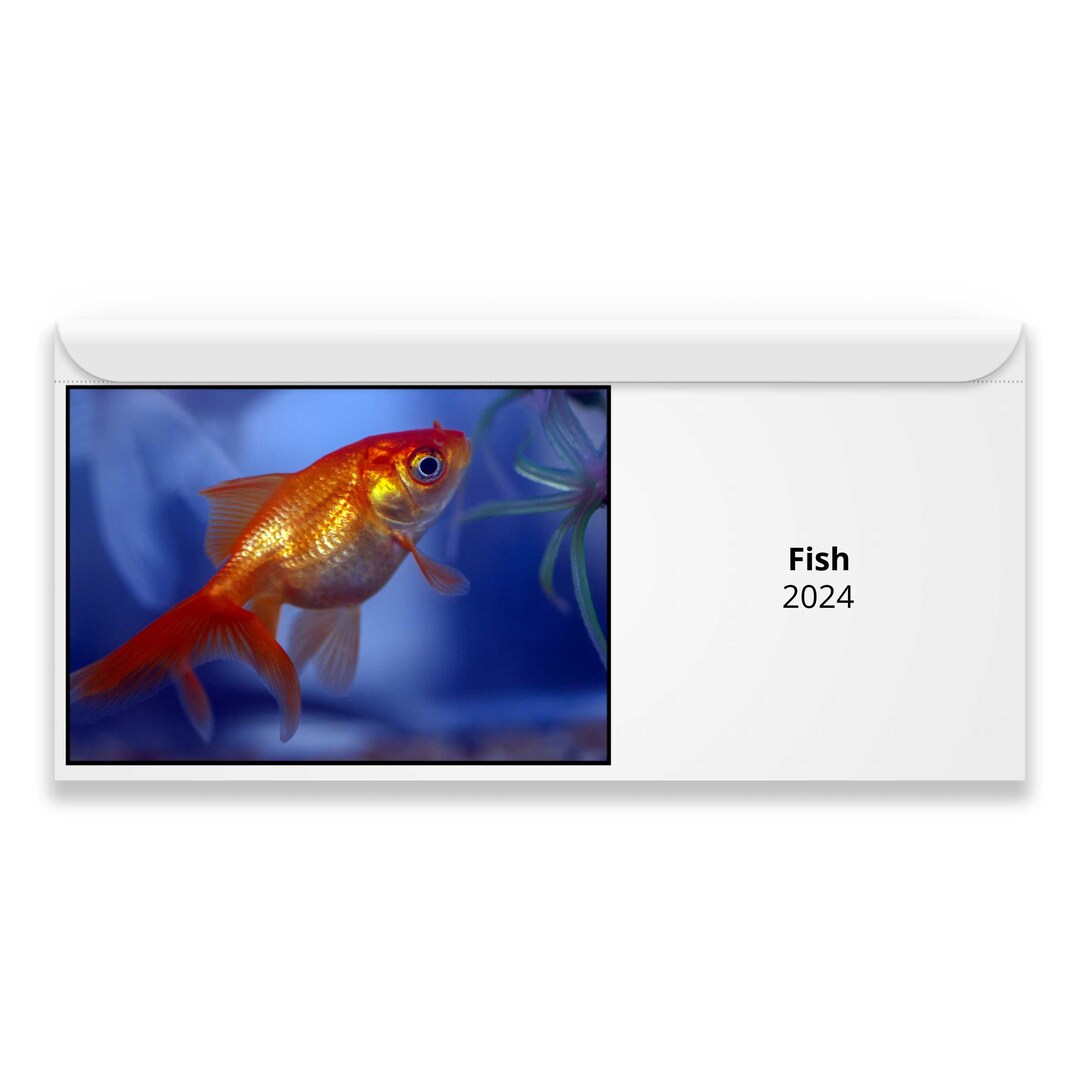 Fish 2024 Calendar IDM24050 Etsy