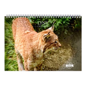 Lince Calendario da parete 2025