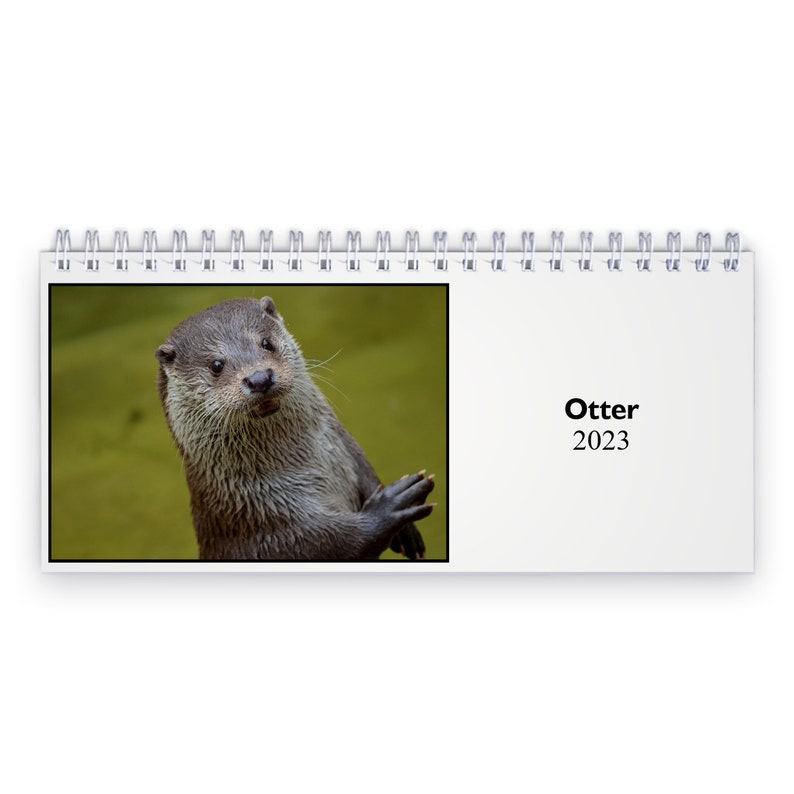 Otter 2023 Desk Calendar ID12969 Etsy