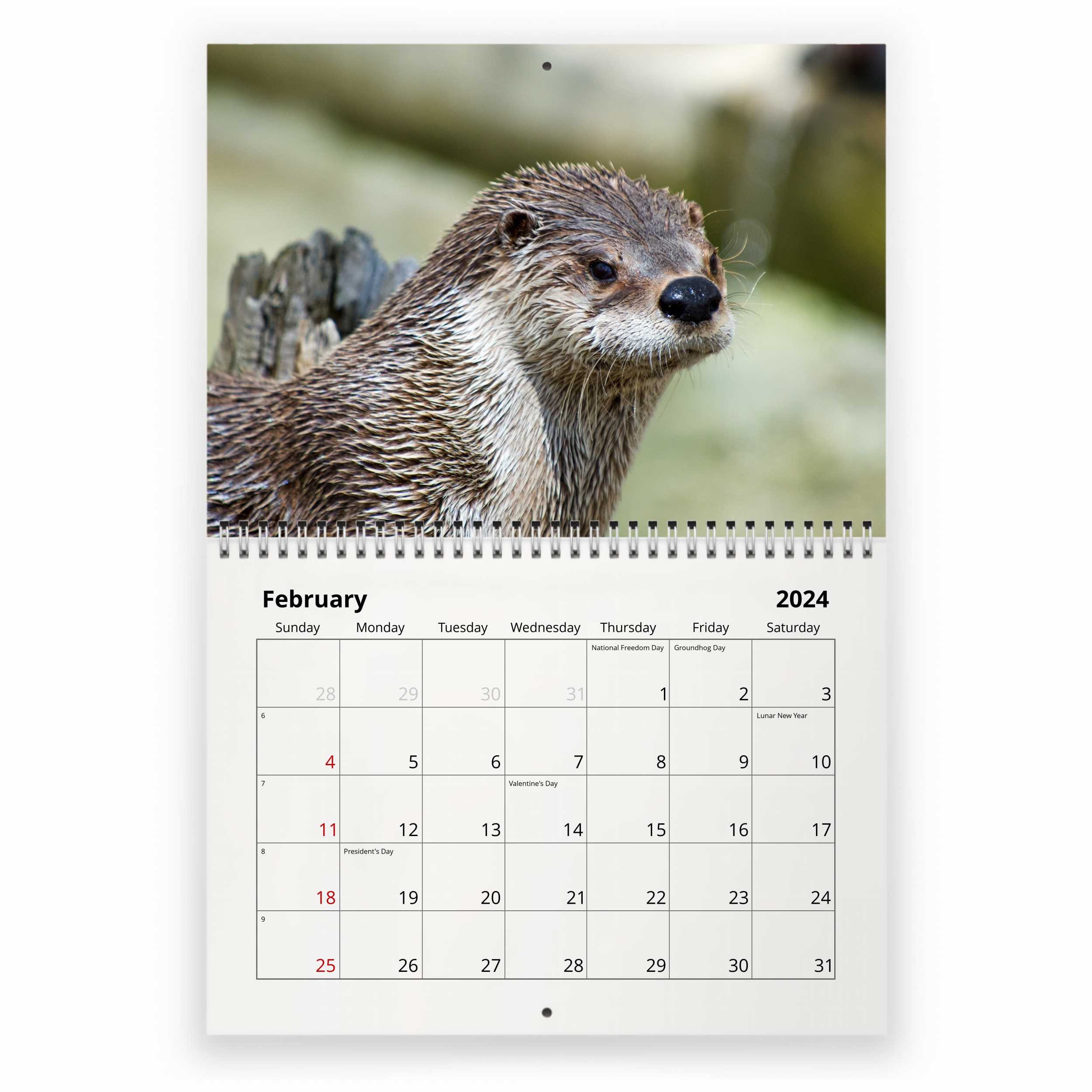 Otter 2024 Wall Calendar IDW24024 Etsy
