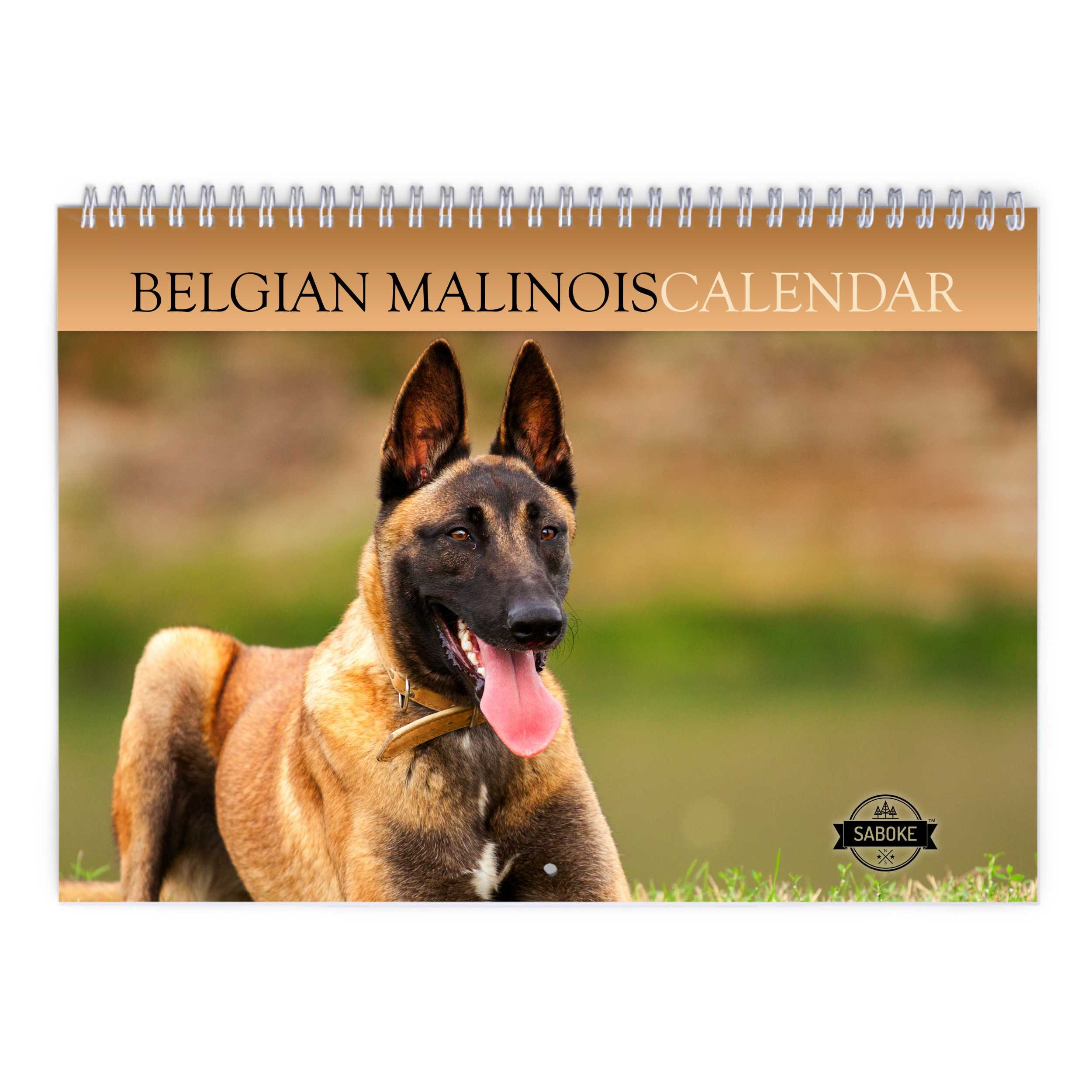 Belgian Malinois 2024 Wall Calendar ID:W24128 - Etsy Belgian Malinois 2024 Wall Calendar ID:W24128 - Etsy