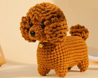 Poodle Dog Crochet Kit