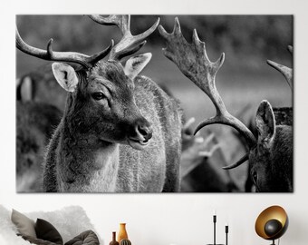 Deer Wildlife Photo Print, Animal Poster, Deer Photo Poster, Loft Artwork, Wildlife Art, Deer Wall Decor, Animalistic Artwork,