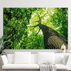 Lienzo con dosel de árbol verde, decoración de pared con vista a la naturaleza, impresión de algodón sobre un bosque apacible, póster de árbol verde brillante, arte mural zen