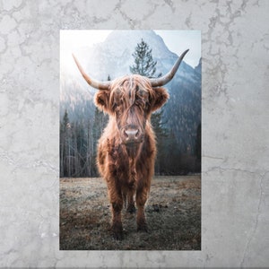 Farmhouse Glass Printing, Highland Cow Glass Wall Art, Modern Art, Animal Wall Art, Loft Glass Art, Glass Art Wall Decor,