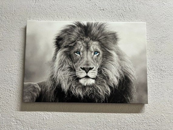 Blue Eyed Lion Wall Art, Animal Canvas Art, Wild Animal Wall Art, Loft Wall Art, Wildlife Canvas, Lion Wall Decor, Wild Lion Wall Art,