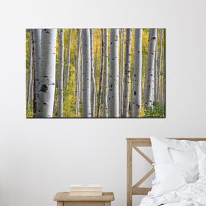 Arte de decoración de dormitorio, póster de vista, arte de abedul en el bosque, decoración de pared grande, arte de pared de árboles, arte de paisaje de árboles, regalo de dama de honor,