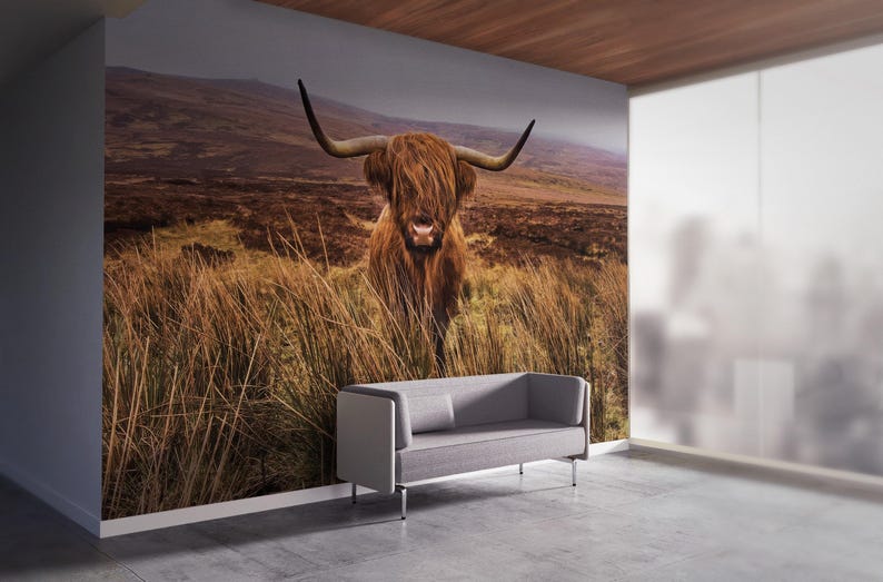 Rustic Fall Background Cow Farmhouse Wallpaper, Beautiful Cow Wallpaper, Highland Cow Wallpaper ...