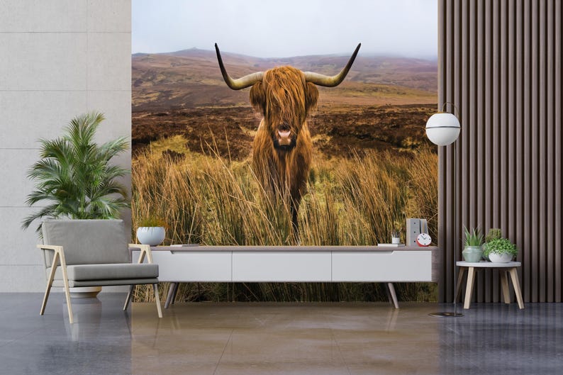 Rustic Fall Background Cow Farmhouse Wallpaper, Beautiful Cow Wallpaper, Highland Cow Wallpaper ...