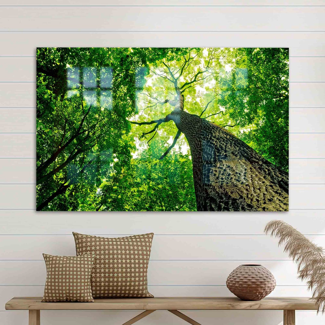Tableau Déco Murale En Verre Trempé Moderne Motif Arbres Café - Sur Mesure UK