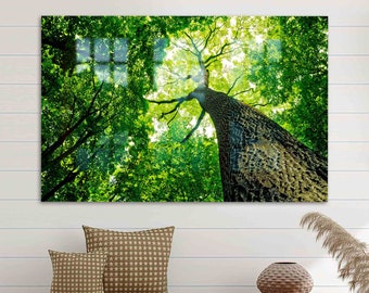 May include: A low angle view of a tall tree trunk with green leaves reaching up towards the sky. The sun shines through the leaves, creating a dappled light effect.