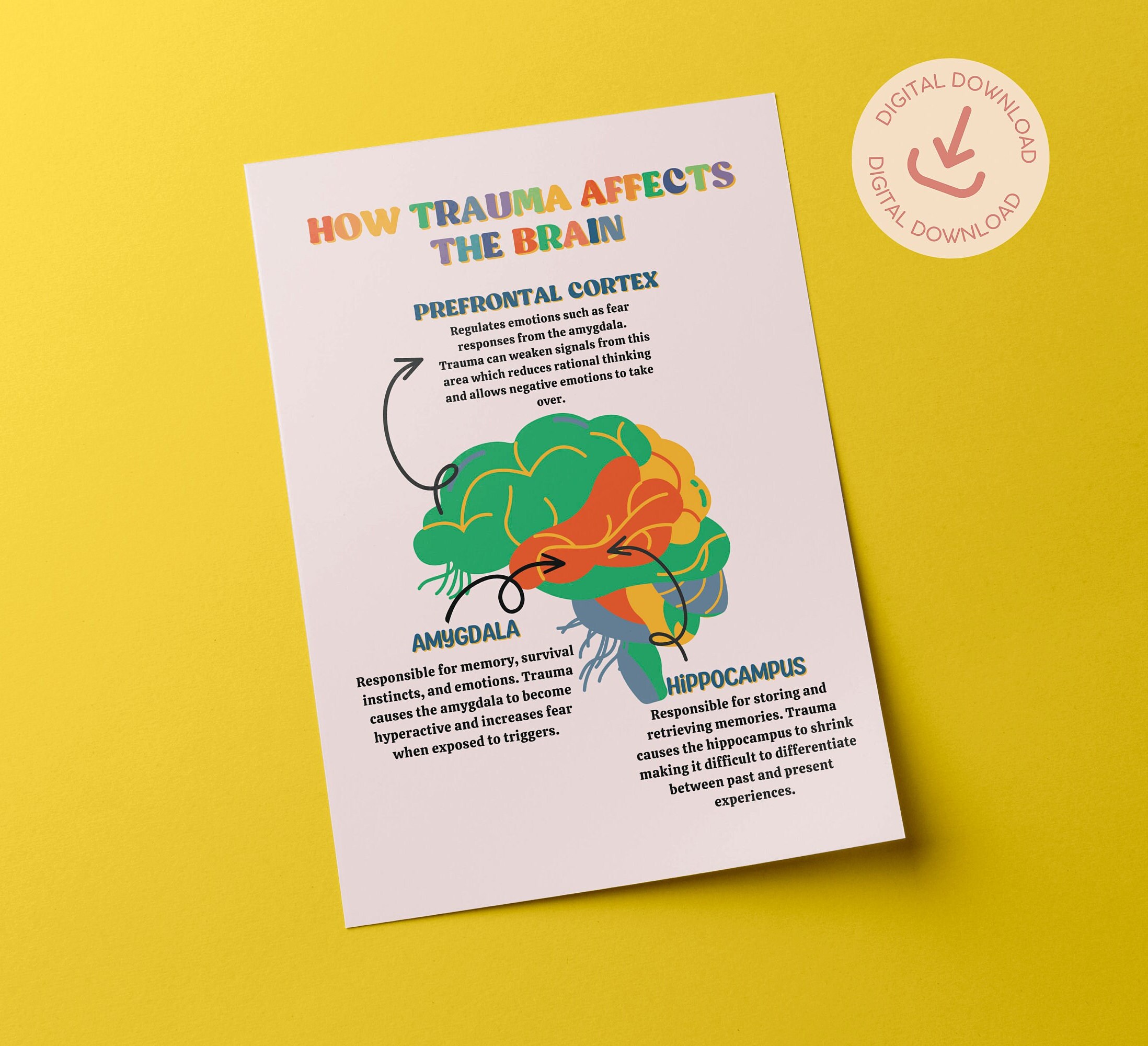 Trauma and the Brain Poster: Therapy Office Decor (digital Download) - Etsy