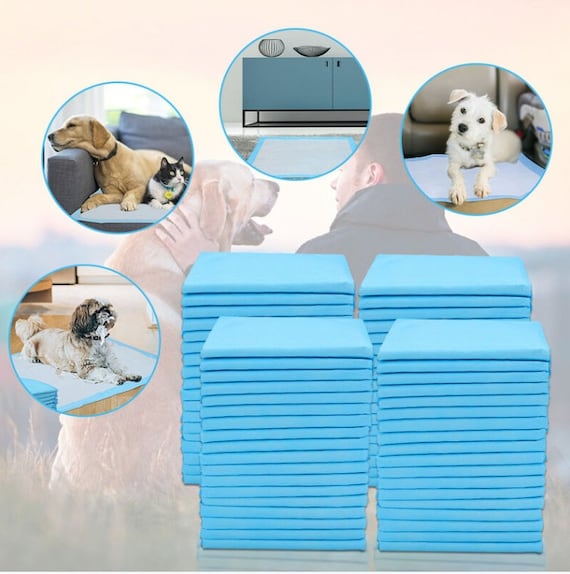 Pet Training Mat