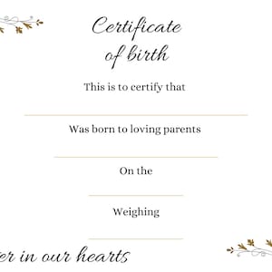 Geboorteakte babyverlies