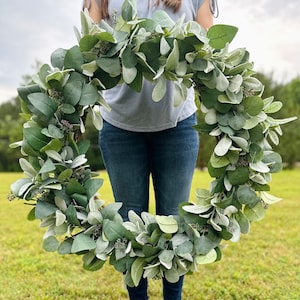 Extra Large Year Round Greenery Wreath, Wedding Wreath Decor, Silver Dollar and Seeded Eucalyptus, Lamb’s Ear, XL Home Decor, Farmhouse