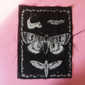 Op de afbeelding: Zwarte stoffen patch met witte geborduurde afbeeldingen van een vlinder, een rups en een mot. De patch heeft een decoratieve rand.