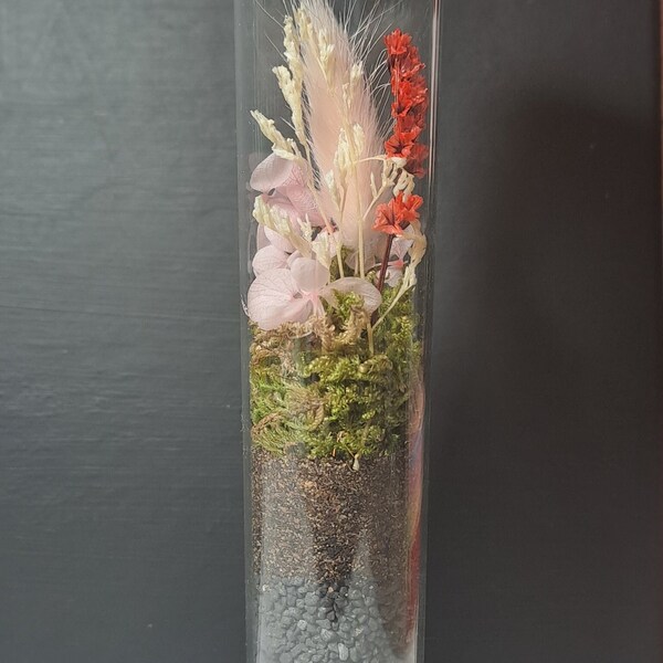 Terrarium fiole