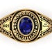 see more listings in the Class Ring section