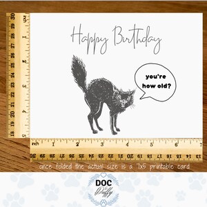 Printable Birthday Card From the Cat Cat Lovers Card, Happy Birthday ...
