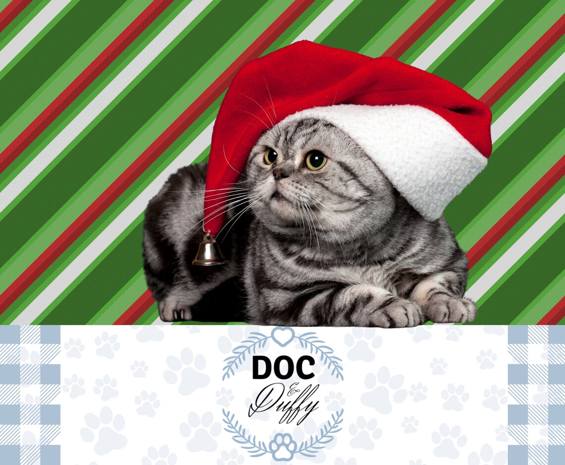 Cat Lovers Christmas Gift, Christmas Wreath Decor, Animal Lovers