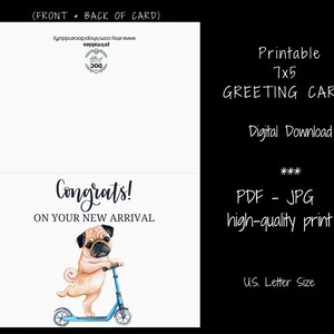 Congratulations on Your New Puppy Card, Dog Greeting Cards, New Puppy ...