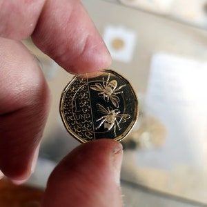 2023 One Pound Coin Bees - Charles III Uncirculated UK Coin free delivery world wide