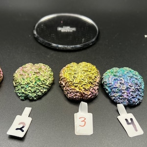 High quality Bismuth Brain sculpture -you choose your color -  great halloween gift.