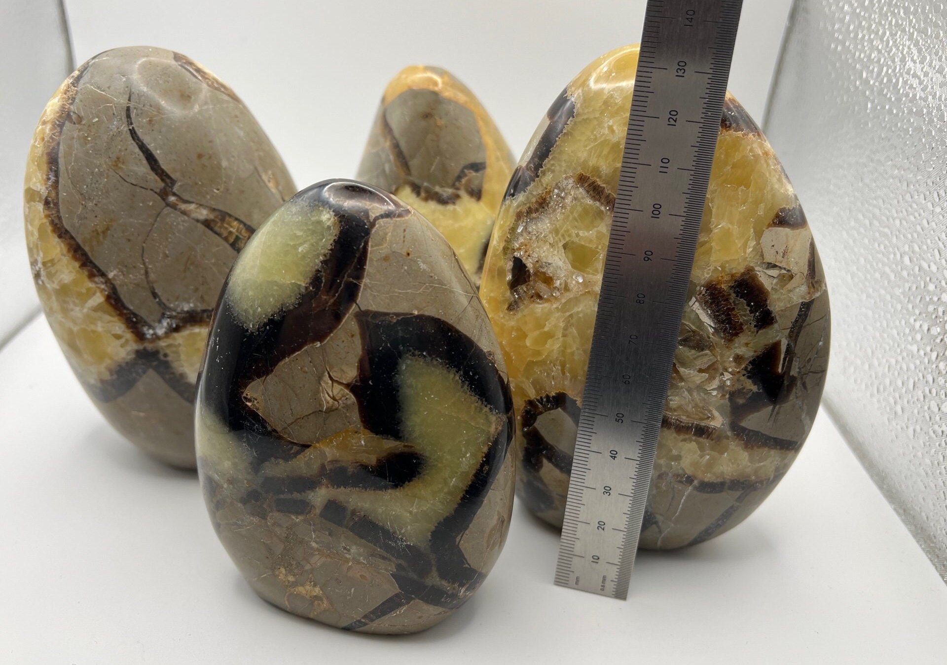 Septarian Form Large Natural Stone Septarian Free Form - You Choose - Etsy