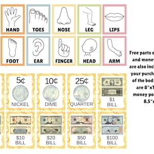 May include: A set of educational posters featuring black and white line drawings of body parts labeled tongue, hand, toes, nose, leg, lips, eye, foot, ear, finger, head, and arm, alongside posters depicting US coins and bills from 1 cent to 100 dollars.