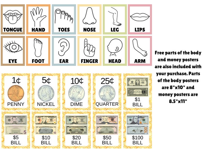 May include: A set of educational posters featuring black and white line drawings of body parts labeled tongue, hand, toes, nose, leg, lips, eye, foot, ear, finger, head, and arm, alongside posters depicting US coins and bills from 1 cent to 100 dollars.