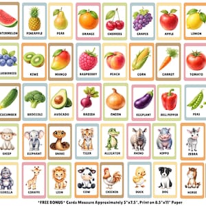 May include: A collection of educational flashcards featuring illustrations of various fruits, vegetables, and animals. Each card displays a colorful image and the corresponding name in English text. The cards measure 5 inches by 7.5 inches.