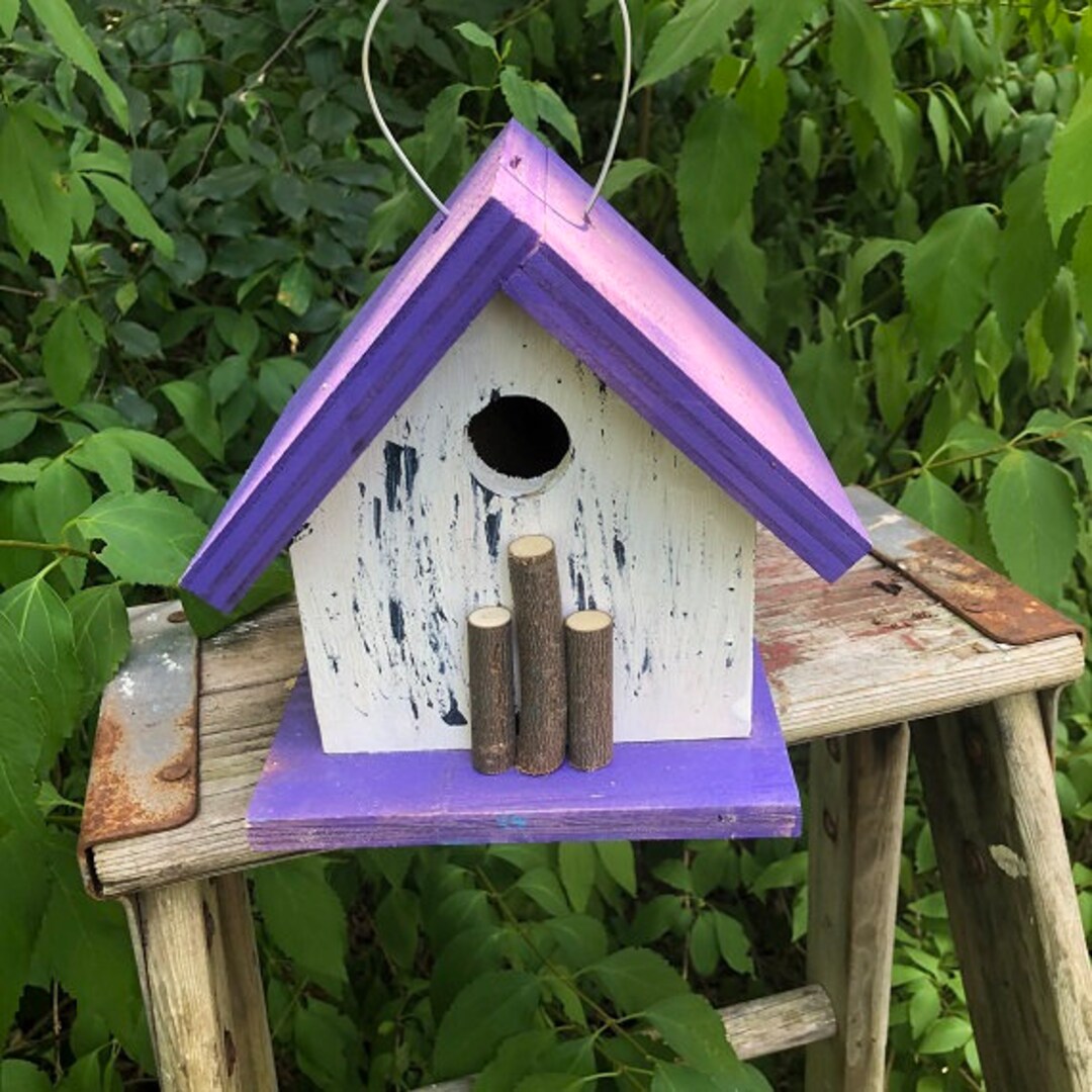 Rustic Outdoor Birdhouses Songbirds Aged Appearance Clean Out Primitive