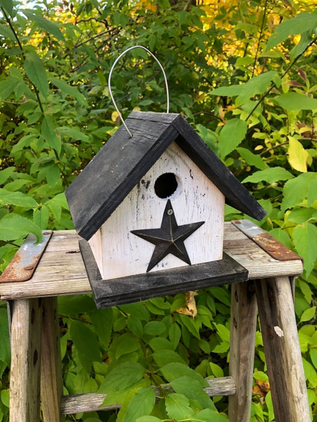 Rustic Outdoor Birdhouses Songbirds Aged Appearance Clean Out Primitive