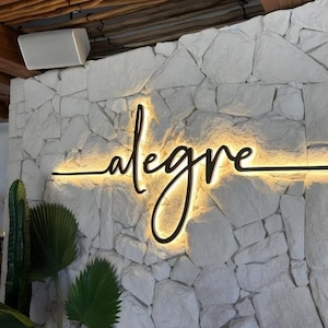 Custom Backlit 3D Logo Sign - LED Lighted Business Wall Decor