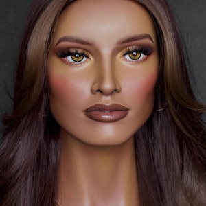 Realistic Mannequin Head Display