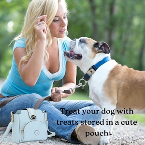 Dog Walking Crossbody Treat Bag With Built in Poop Bag Dispenser