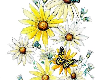 Daisies and Butterflies Set of 5 Notecards
