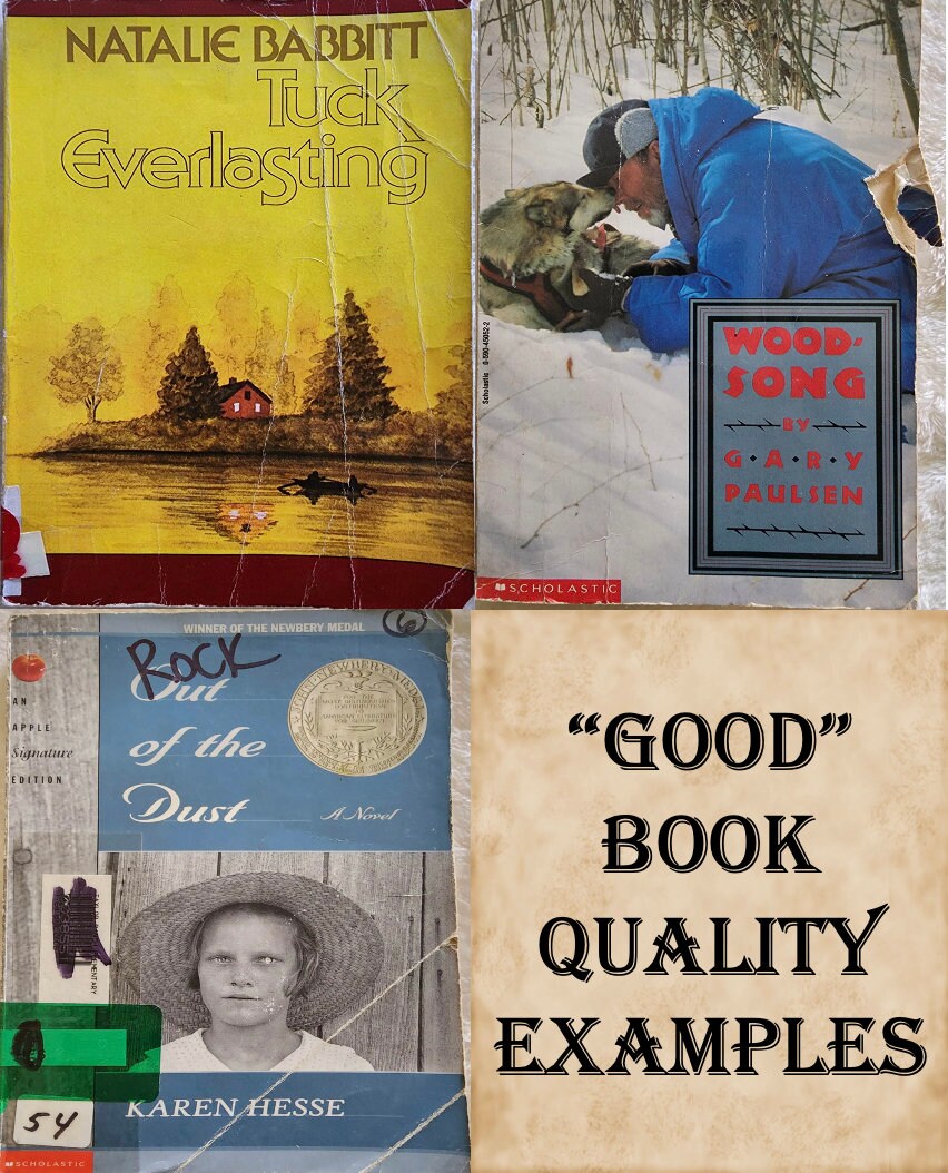 Children's Book Mystery Box Gently Loved Books That Need New Homes ...