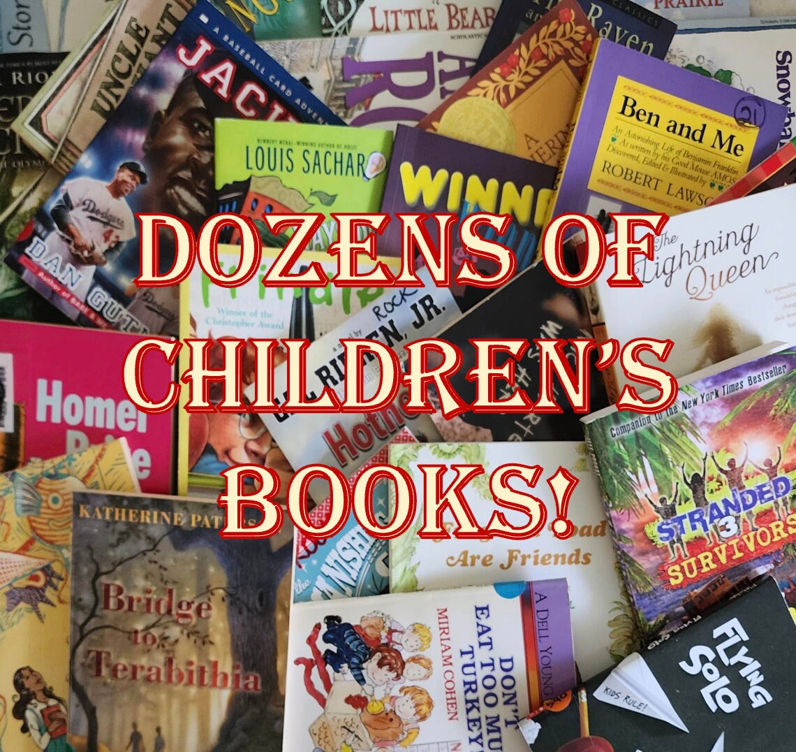 Children's Book Mystery Box! Gently Loved Books That Need New Homes ...