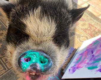 Cuadros hechos con cerdos, 5 x 7 pulgadas, paquete de 2