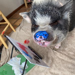 Custom painting by Ella the Pig