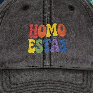 Homo Estas Embroidered Hat Funny Retro Gay Pride Hat Spanish Groovy Homo Estas LGBTQ Gift Pride Month Baseball Hat Rainbow Flag Hat LGBTQ