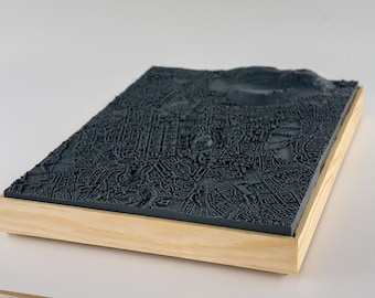 Custom- Large 3D Model in Wooden Frame