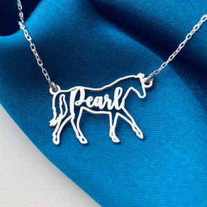 Horse Necklace, Horse Necklace for Woman, Personalized Horse Name Necklace, Custom Horse Necklace, Horse Memorial Gift, Horse Riding Gift