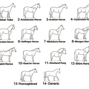 May include: Fourteen black and white line drawings of horse breeds, including Akhal-Teke, Andalusian, Arabian, Clydesdale, Friesian, Haflinger, Miniature, Morgan, Paint, Quarter, Shetland, Shire, Thoroughbred, and Generic.
