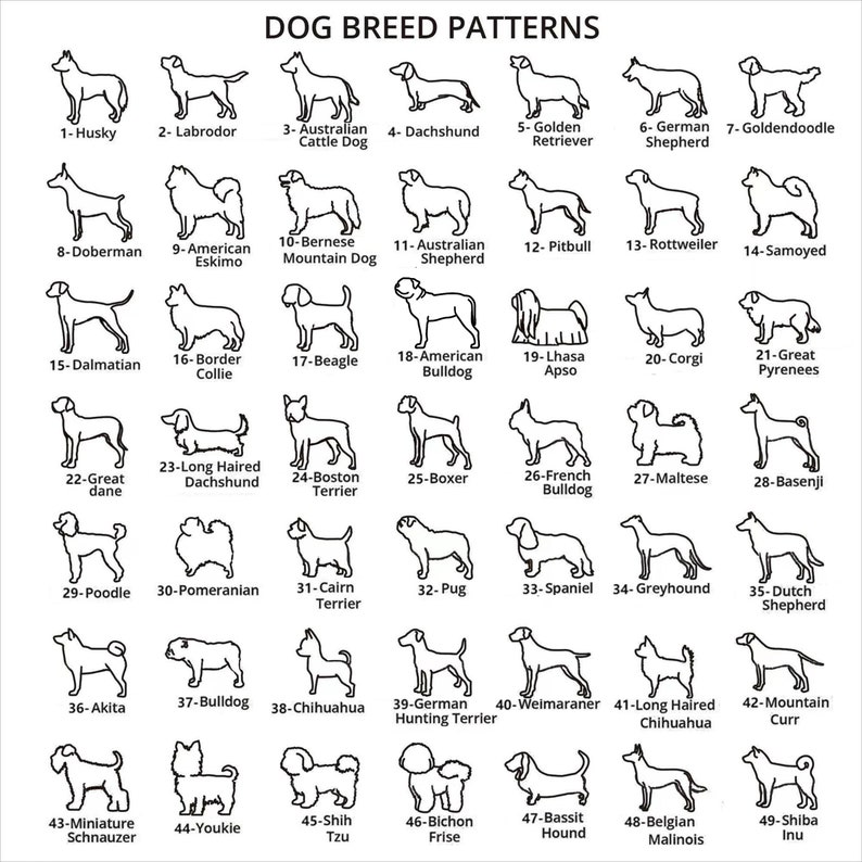 May include: A black and white line art illustration of 49 different dog breeds. Each breed is labeled with its name and number. The illustration is organized in a grid pattern.