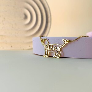 Op de afbeelding: Gouden ketting met een hanger in de vorm van een katten silhouet. De naam van de kat, "Stormy", staat in het silhouet.