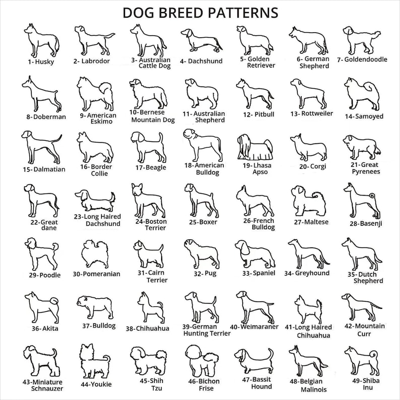 May include: A black and white line art illustration of 49 different dog breeds. Each breed is labeled with its name and number. The illustration is organized in a grid pattern.