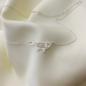 May include: A silver necklace with a cat-shaped pendant. The pendant is cut out in the shape of a cat and the name "Buster" is written inside the cat's body.