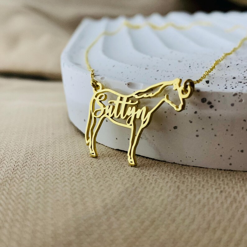 Horse Necklace, Horse Necklace for Woman, Horse Name Necklace, Personalized Horse Charm Necklace, Horse Memorial Necklace, Gift Horse Mom image 5